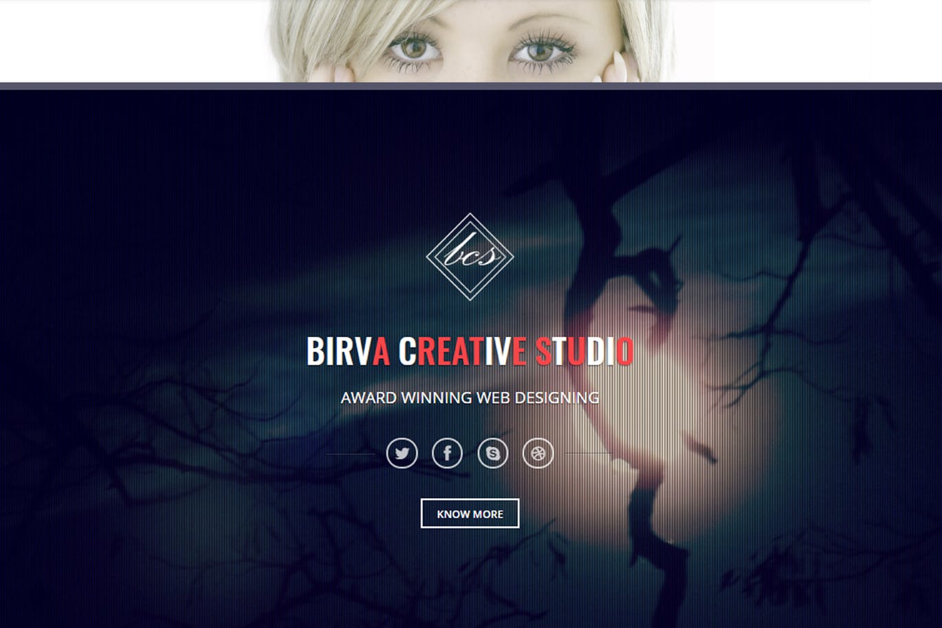 Birva Bootstrap Parallax One Page Template Fastcode Space